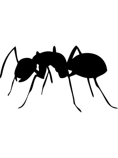 Ant Stencils Free Printable