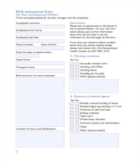 Hse Pregnancy Risk Assessment Form