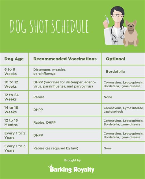 Printable Dog Vaccination Schedule Pdf Customize And Print