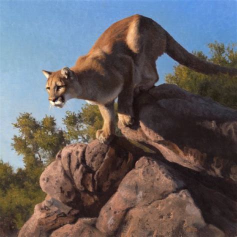 It is only available to college graduates, so it does not have a teen/elder track. Spring Loaded - mountain lion wildlife artist Kyle Sims