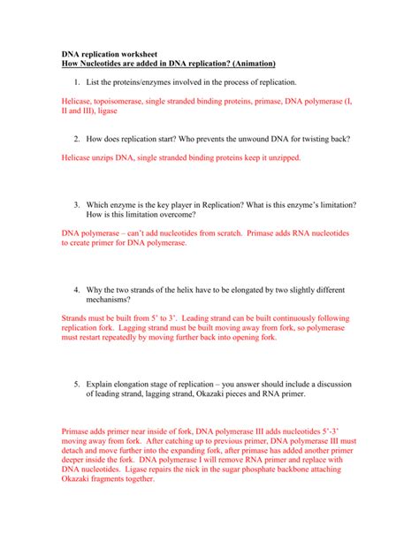 = leading strand input it if you want to receive answer. 31 Dna Rna And Replication Worksheet Answer Key - Worksheet Resource Plans
