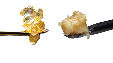 Live Rosin Vs Live Resin Differences In Extraction Explained
