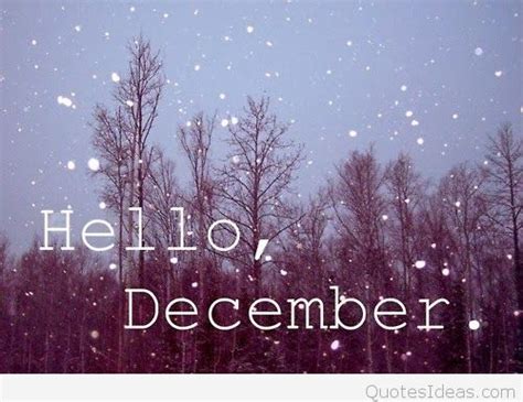 Hello December Quotes Meme Image 07 Quotesbae