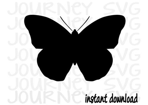 Butterfly SVG File Spring SVG | Etsy in 2021 | Butterflies svg, Tumbler