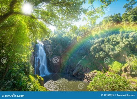 Waterfall Stock Photo Image Of Rain Thailand Nature 78953326