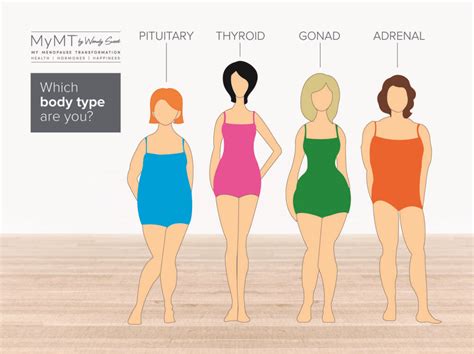 The Science Behind Your Changing Shape In Menopause My Menopause Transformation