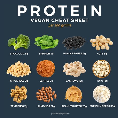 40 Vegan Meal Prep Recipes High In Protein Full Meal Planning Toolkit