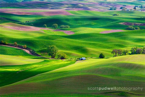 Spring In The Palouse This Is An Image From A Trip With