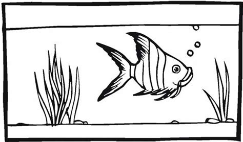 Simply do online coloring for coral reef fish tank coloring pages directly from your gadget, support for ipad, android tab or using our web feature. Fish Tank for Angel Fish Coloring Page - NetArt di 2020