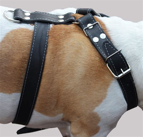 Black Genuine Leather Dog Harness Large To Xlarge 3337 Chest 15 Wide