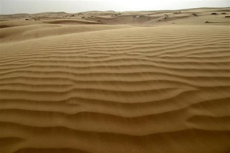 Ripple Marks 1 Sharqiya Sands Pictures Oman In Global Geography