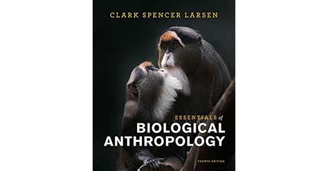 Essentials Of Biological Anthropology By Clark Spencer Larsen