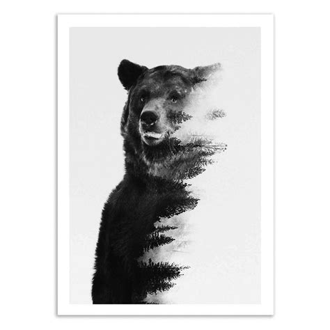 Art Poster Animals Bear Black And White By Andreas Lie