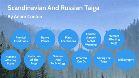 Science Topic Scandinavian And Russian Taiga By Adam Conlon