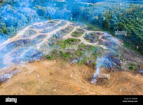 Aerial View Of Deforestation Rainforest Being Removed To Make Way For