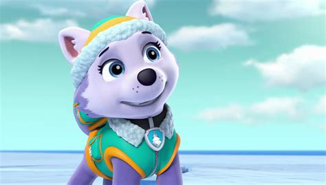 Free Download Everest Paw Patrol Photo 40716963 Page 6 1920x1090 For