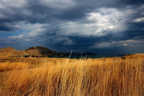 Dry Steppe Steppe Landscape Grassland