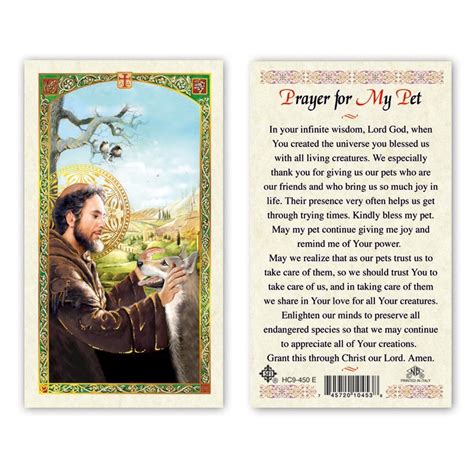Prayer for a dead pet the loss of a pet comes with intense sadness, so whether verbally or by gesticulation, one has to express his/her agony. ST FRANCIS OF ASSISI - PRAYER FOR MY PET 25/PKG - San Francis