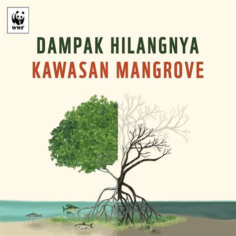 Poster Hutan Mangrove Homecare24