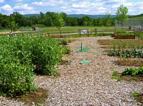 But the above points should give you an idea of how an organic gardener tends to go through a different thought process. Organic horticulture - Wikipedia