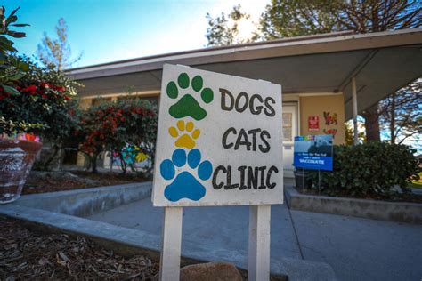 Enter any hospital room and the first thing you'll probably consider this as you search general hospital near me. Government Pet Hospital Near Me - Pet's Gallery