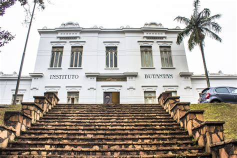 Instituto butantan is a public institution affiliated with the são paulo state secretariat of health and considered one of the major scientific centers in the world. Instituto Butantan - História, Cursos, Vacinas desenvolvidas - InfoEscola