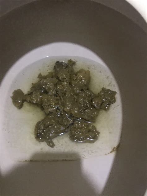 Biggest Poop In A While Been Holding This For 4 Days Rratemypoo
