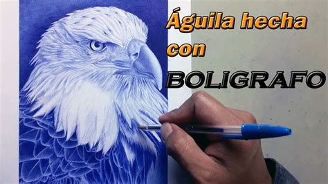 Cómo Dibujar Plumaje Con Lapicero Dibujando Un águila Youtube