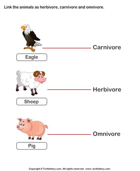 Identify Animals As Herbivore Carnivore Or Omnivore