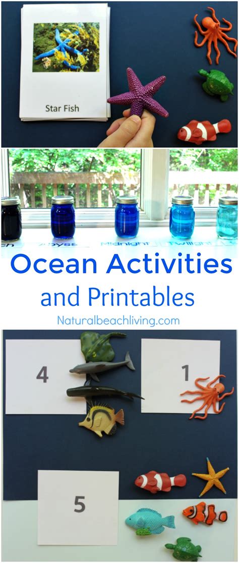 This ocean animal i spy printable is perfect for preschoolers and kindergarten. The Best Ocean Animals Preschool Activities and Printables