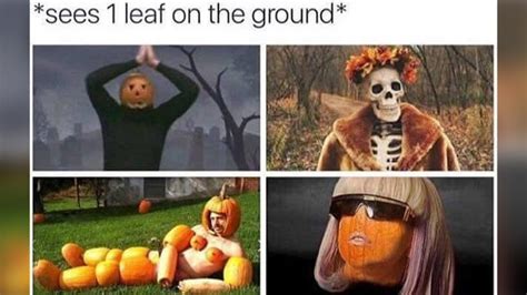 Fall Memes And Jokes Here Are The Funniest Autumnal Equinox Memes That Will Make You LOL