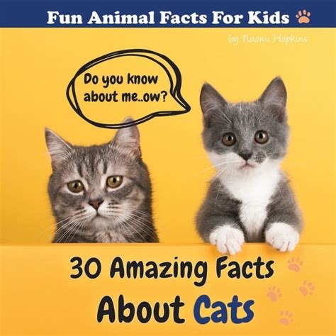 Fun Animal Facts For Kid 30 Amazing Facts About Cats Fun Animal Facts