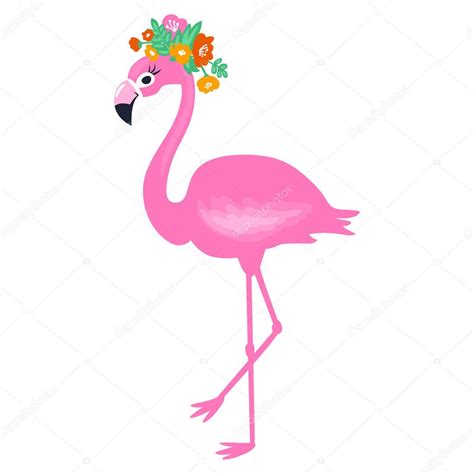 Vector De Flamingo Rosa Aislado Sobre Fondo Blanco Verano Ilust