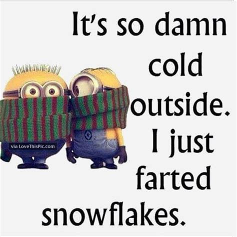 Its So Cold I Just Farted Snowflakes Minions Funny Funny Minion Pictures Funny Minion Quotes