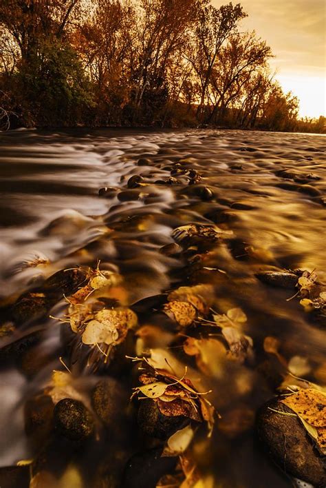 Autumn Sunrise Along Boise River In Boise Idaho By Vishwanath Bhat