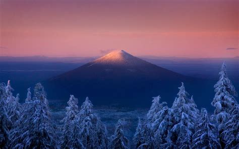 Volcano Oregon Sunset Forest Snow Mountain Trees