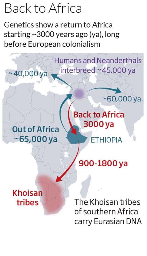 humanity s forgotten return to africa revealed in dna new scientist