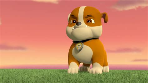 Rubble Gallery Mission Paw Pups Save The Princess Pals Paw Patrol Wiki Fandom Powered By Wikia