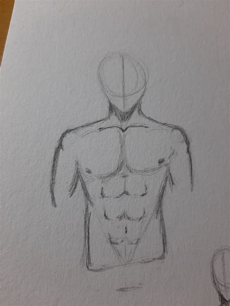 Torso Anatomy Drawing Male Man Chest Sketches By Itsmyartfam On