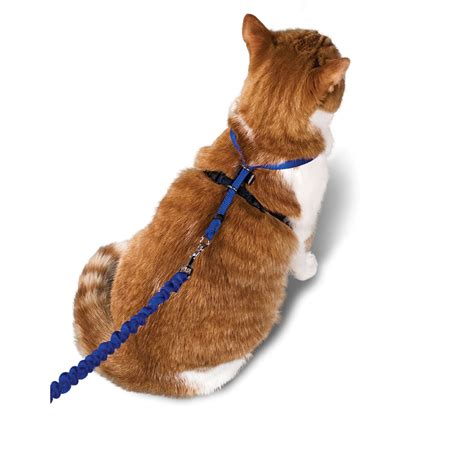 Petsafe Gentle Leader Come With Me Kitty Harness And Bungee Leash In Blue