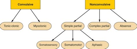 Management Of Status Epilepticus Clinical Gate