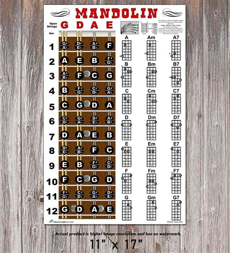 Mandolin Easy Chord Chart And Fretboard Notes Poster Reverb
