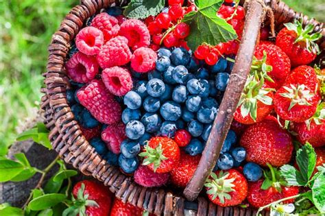 How To Grow Berries At Home Gardeners Path