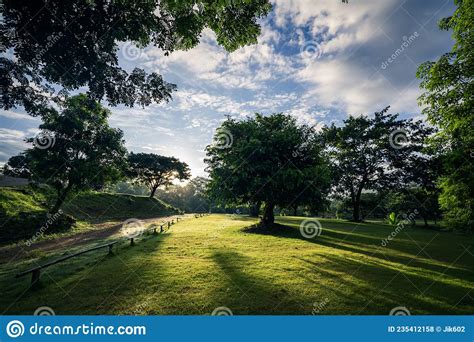 Blue Sky And Sunrise Light Trees In Beautiful Natural Gardens In The