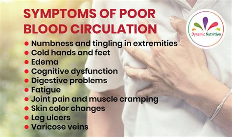 Symptoms Of Poor Blood Circulation Dynamic Nutrition