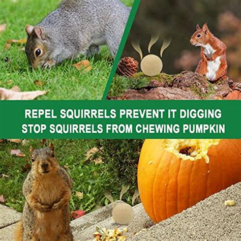 Suavec Squirrel Repellent Outdoor Chipmunk Repellent Outdoor Squirrel