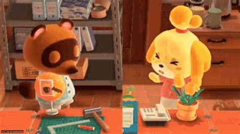 Animal Crossing Tom Nook  Animalcrossing Tomnook Isabelle
