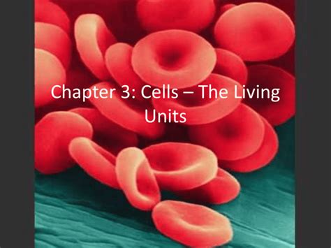 Chapter 3 Cells The Living Units