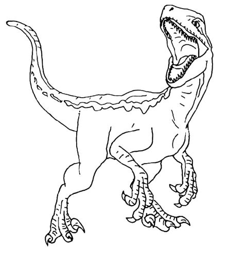 27 Desenhos Do Velociraptor Para Imprimir E Colorir Pintar