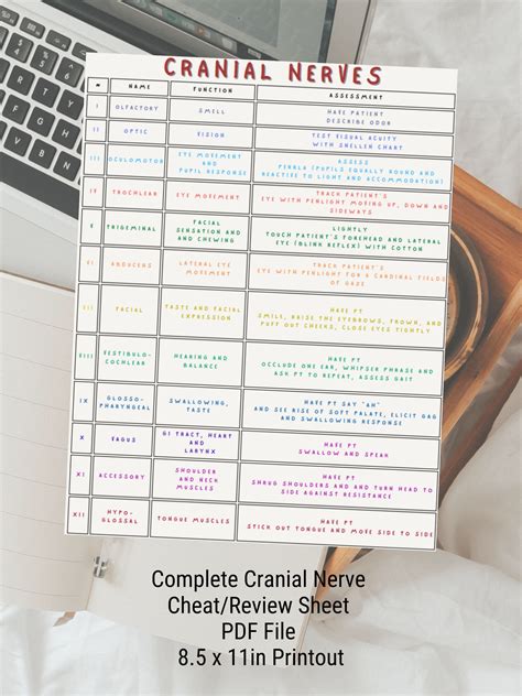 Cranial Nerve Cheat Sheet Description Nursing Guides Nurse